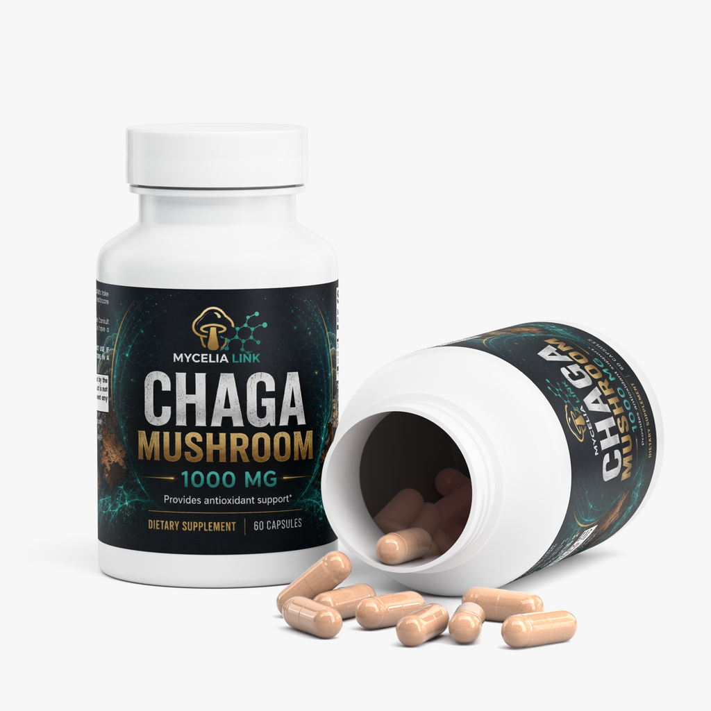 Chaga Mushroom