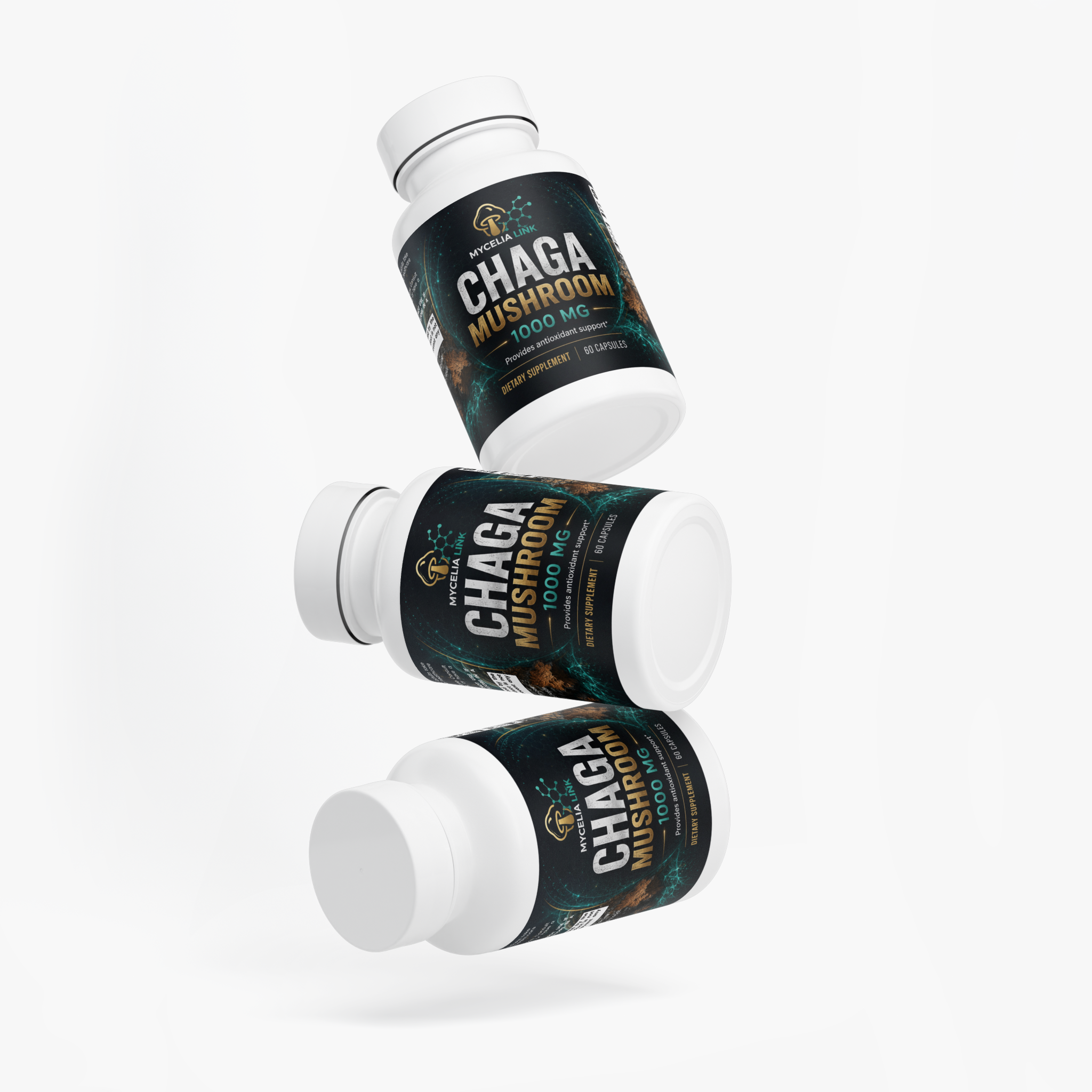 Chaga Mushroom