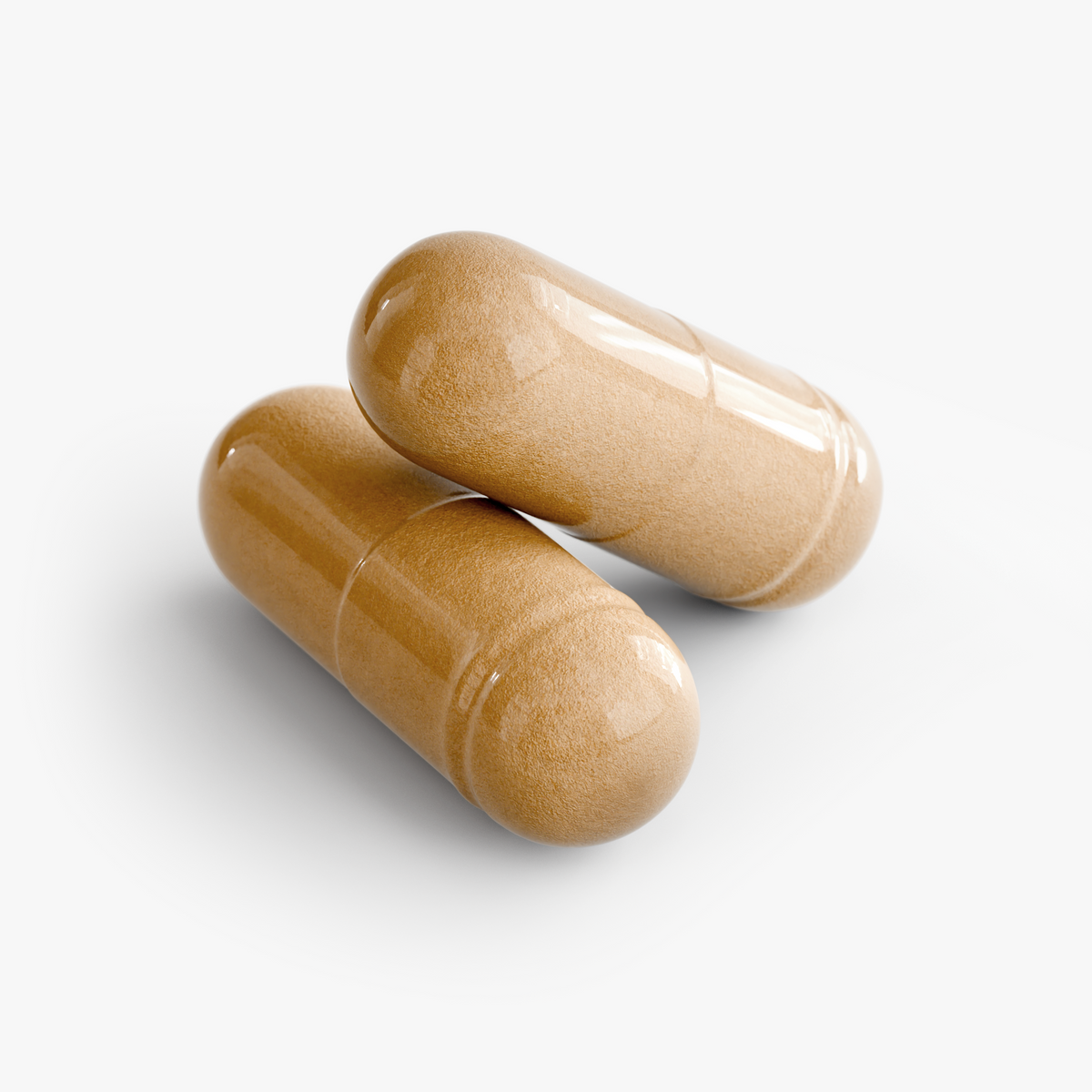 MYCELIA AXS - Joint Support