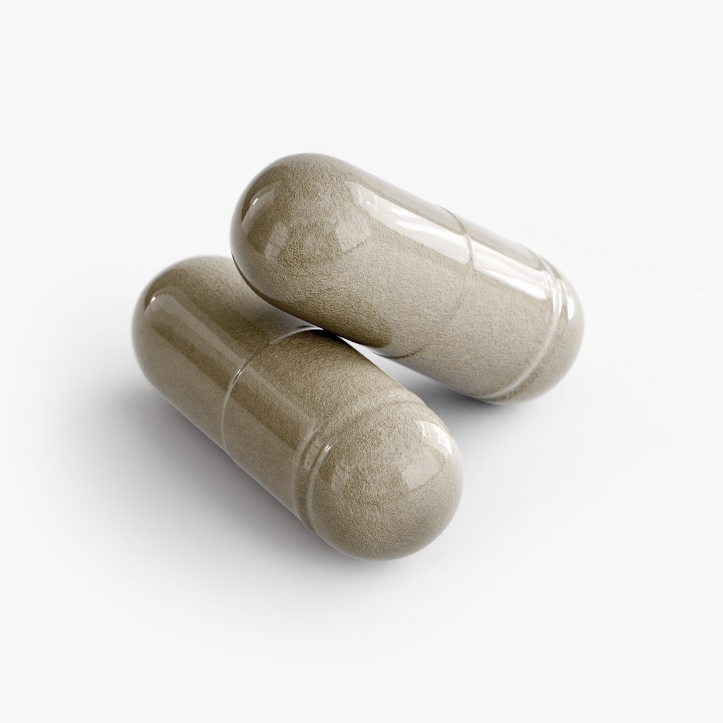MYCELIA RESET (Acai detox)